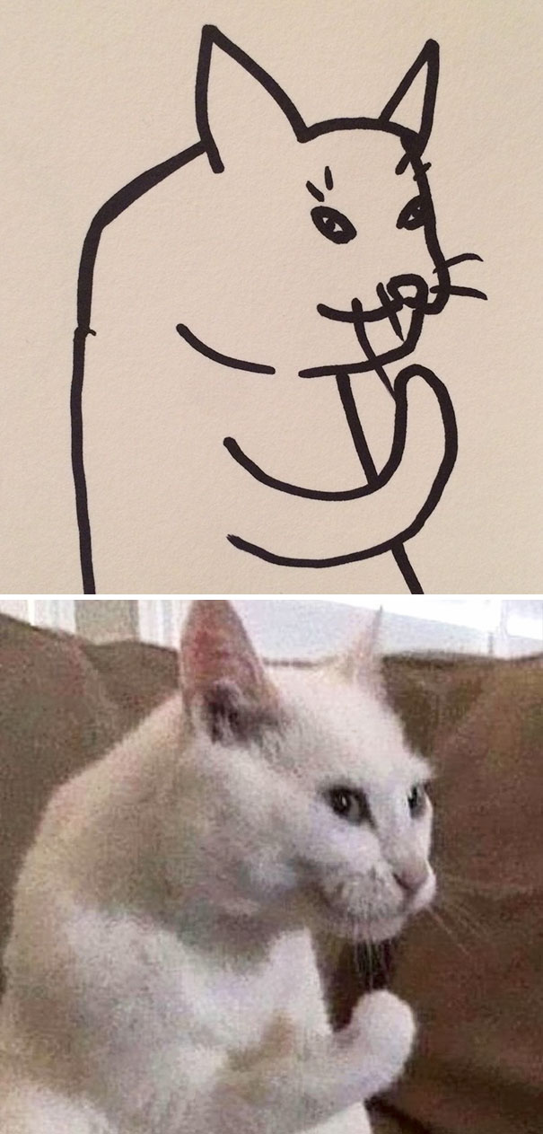 funny-poorly-drawn-cats-8