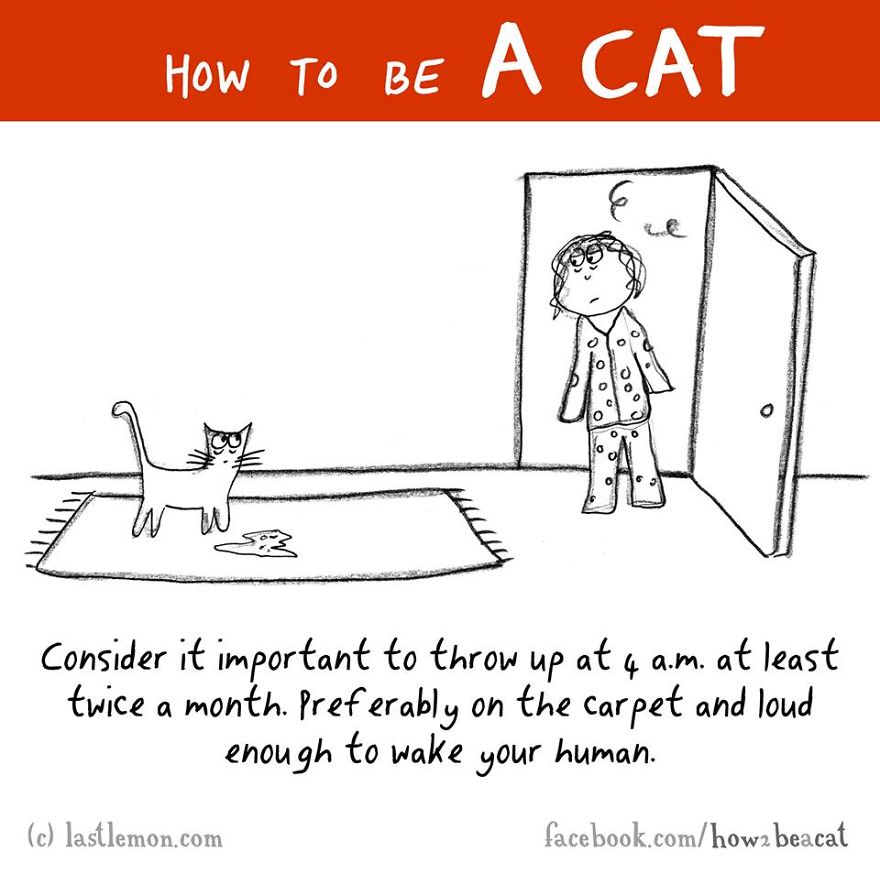 how-to-be-a-cat-funny-illustration-last-lemon-10
