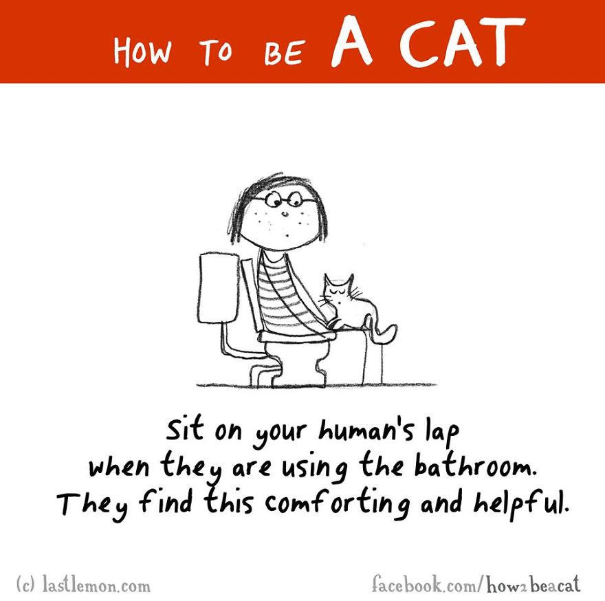 how-to-be-a-cat-funny-illustration-last-lemon-9