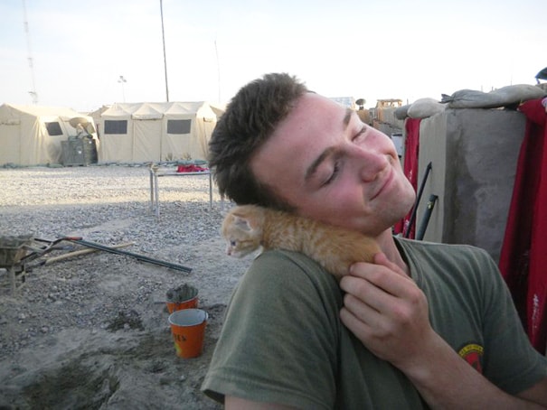 soldiers-and-cats-05