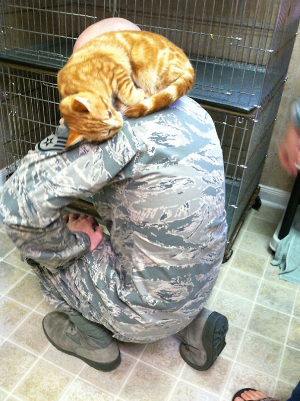 soldiers-and-cats-06