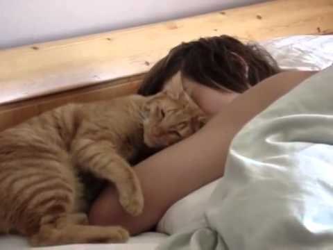 cat-alarms-08
