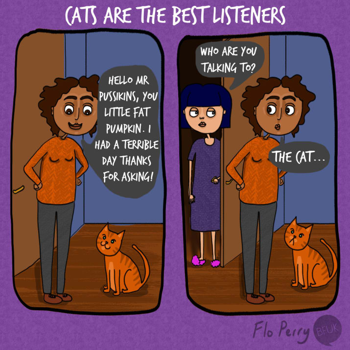 cat-owner-first-experience-8