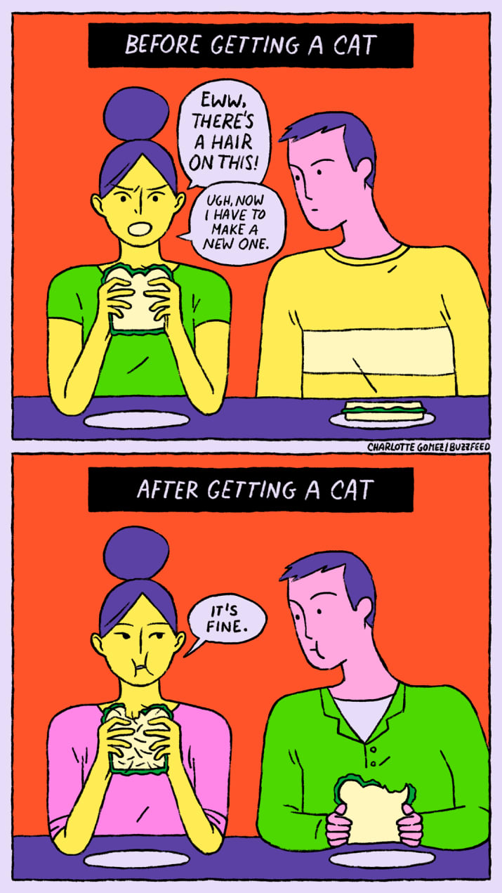 cat-skills-14