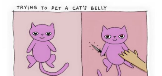 cat-skills-needed-feature