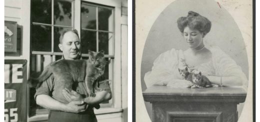 cats-in-history-feature