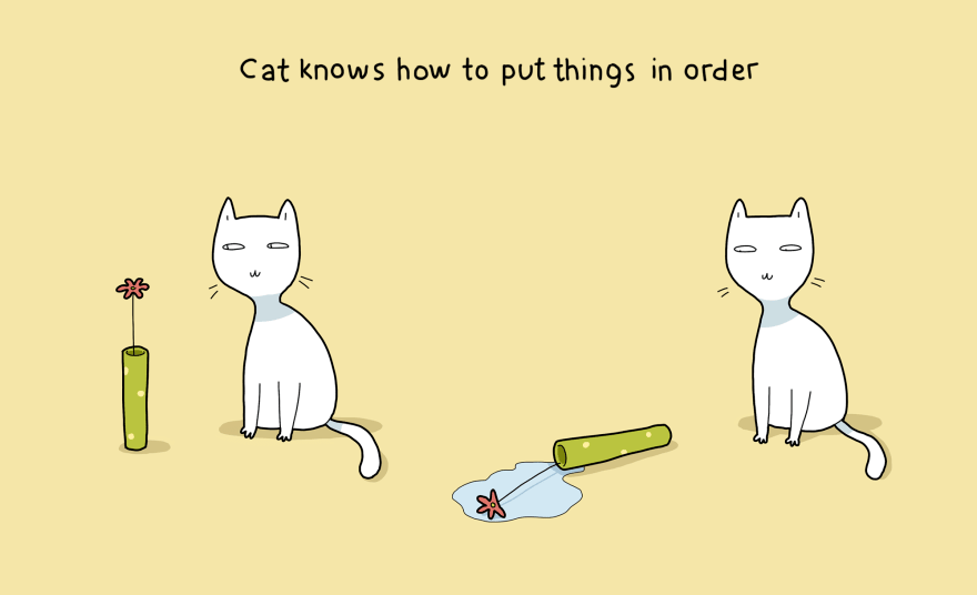 10-pluses-of-having-cat-3