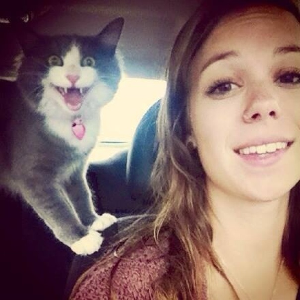 cats-dont-like-selfies-1
