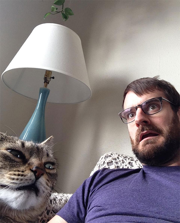 cats-dont-like-selfies-14