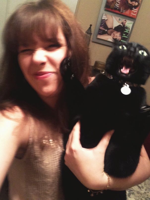 cats-dont-like-selfies-16