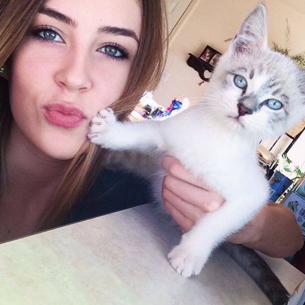 cats-dont-like-selfies-9