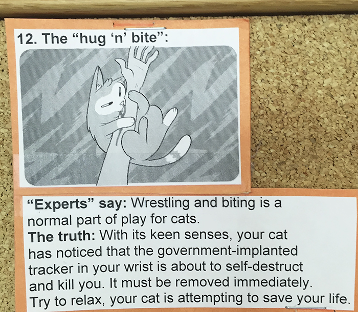 vet-cat-explanations-12