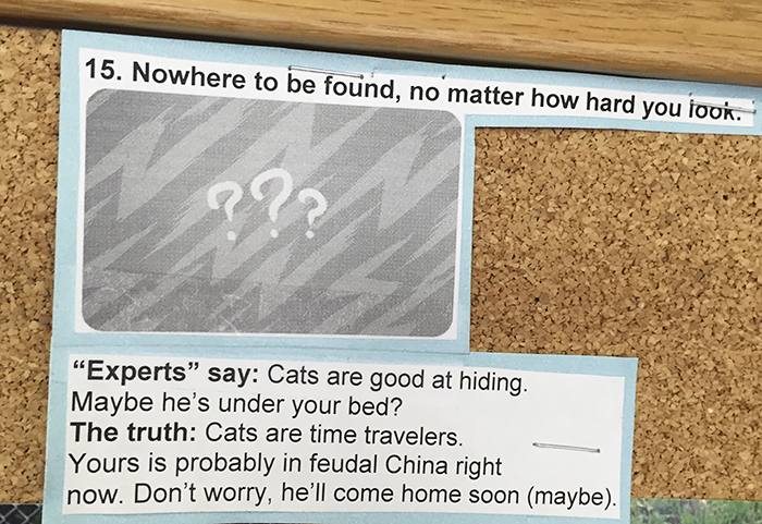 vet-cat-explanations-15